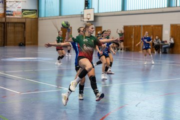 Bild 291 - F HSG Kremperheide/Muensterdorf - HSG Holstein Kiel/Kronshagen : Ergebnis: 31:26
